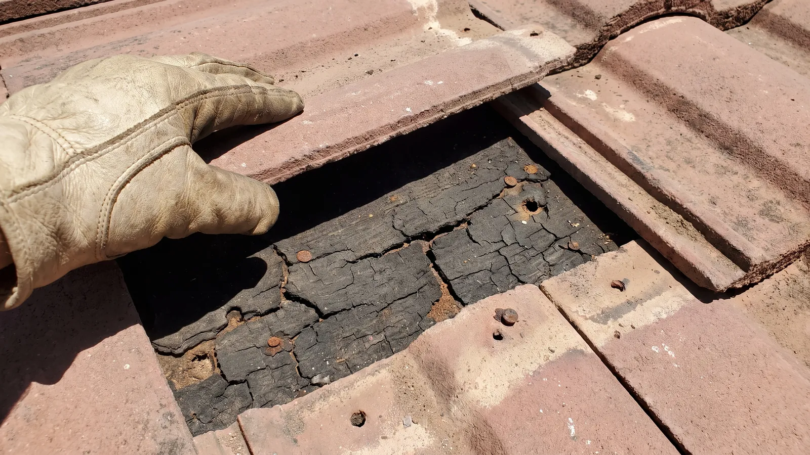 Brittle, cracked felt underlayment exposed under a lifted concrete tile on a 20-year-old Arizona roof